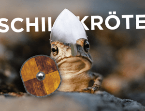 Schildkroete
