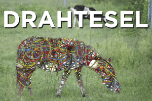 Drahtesel