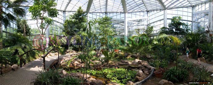 Frankfurt- Palmengarten