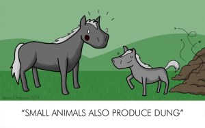 Kleinvieh macht auch Mist